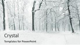  Presentation with winter and trees - Slide set enhanced with love hearts on vintage background background and a  colored foreground.