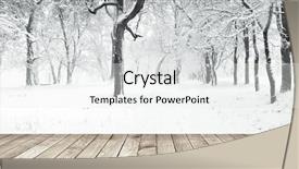  Presentation with trees forest lumber - Presentation design with silent hill - panorama of winter forest background and a white colored foreground
