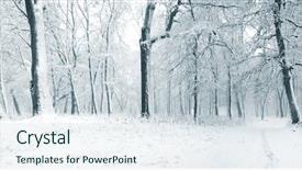  Presentation with trees forest lumber - Amazing slide set having silent hill - panorama of winter forest backdrop and a  colored foreground