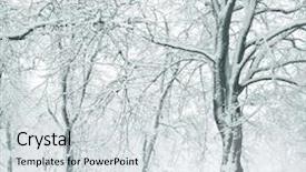  Presentation with winter and trees - PPT theme having silent hill - panorama of winter forest background and a  colored foreground