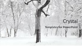  Presentation with forest winter - PPT theme consisting of silent hill - panorama of winter forest background and a  colored foreground