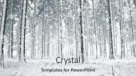  Presentation with winter and trees - Theme featuring silent hill - panorama of winter forest background and a  colored foreground