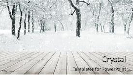  Presentation with forest winter - Audience pleasing PPT layouts consisting of silent hill - panorama of winter forest backdrop and a light gray colored foreground