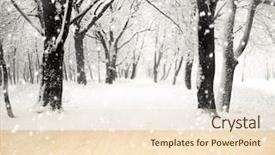  Presentation with trees forest lumber - Amazing slides having silent hill - panorama of winter forest backdrop and a  colored foreground