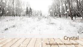  Presentation with forest winter - Audience pleasing PPT theme consisting of silent hill - panorama of winter forest backdrop and a  colored foreground