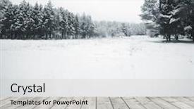  Presentation with winter forest - Cool new presentation design with silent hill - panorama of winter forest backdrop and a light gray colored foreground