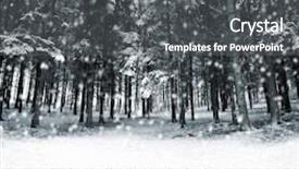 Presentation with trees forest lumber - Audience pleasing PPT theme consisting of silent hill - panorama of winter forest backdrop and a  colored foreground