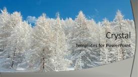  Presentation with winter blue - Cool new presentation theme with silent hill - snowy winter forest with clear backdrop and a  colored foreground