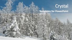  Presentation with winter forest - Audience pleasing PPT theme consisting of silent hill - winter forest backdrop and a  colored foreground