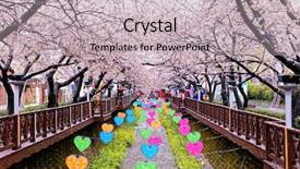  Presentation with night day - PPT layouts having silent night - cherry blossoms at day busan background and a soft green colored foreground