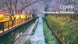  Presentation with sakura - Amazing theme having silent night - cherry blossoms sakura at sunset backdrop and a seafoam green colored foreground