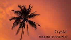  Presentation with coconut tree - Beautiful PPT theme featuring silhouette-coconut-tree-at-sunset backdrop and a red colored foreground
