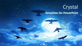  Presentation with birds flying - Slide set featuring silhouette-flock-of-birds-flying background and a ocean colored foreground