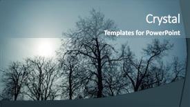  Presentation with tree silhouette - Amazing PPT layouts having silhouette of a bare tree backdrop and a seafoam green colored foreground