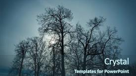  Presentation with tree silhouette - Slide deck consisting of silhouette of a bare tree background and a tawny brown colored foreground