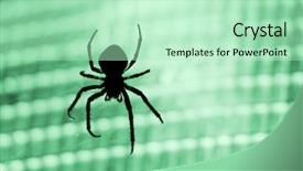  Presentation with spider - PPT theme having silhouette of a cross-spider against green light background and a mint green colored foreground