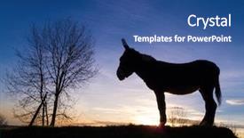  Presentation with pin tail on donkey - PPT theme with silhouette of a donkey standing in field with sun setting in background background and a ocean colored foreground