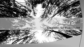  Presentation with night sky - 