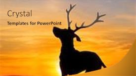  Presentation with antlers - Theme featuring silhouette-of-a-great-dane background and a coral colored foreground