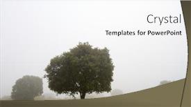  Presentation with oak - PPT layouts featuring silhouette-of-a-lone-oak background and a white colored foreground