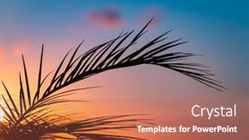  Presentation with tree silhouette - Slide set with silhouette-of-a-palm-tree background and a coral colored foreground