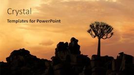  Presentation with tree silhouette - Slide deck featuring silhouette-of-a-quiver-tree background and a yellow colored foreground