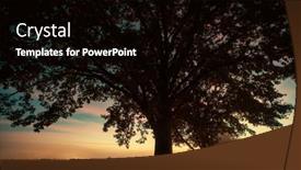  Presentation with tree silhouette - PPT layouts with silhouette-of-a-tree background and a black colored foreground