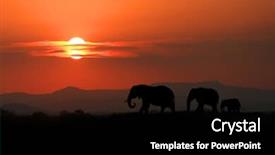  Presentation with african sunset - Theme enhanced with silhouette of african elephants background and a black colored foreground