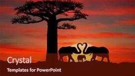  Presentation with african sunset - Amazing theme having silhouette of african elephants backdrop and a tawny brown colored foreground