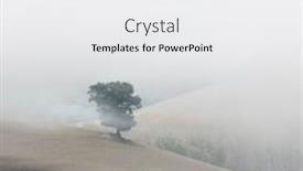  Presentation with tree silhouette - Theme consisting of silhouette-of-alone-tree background and a white colored foreground