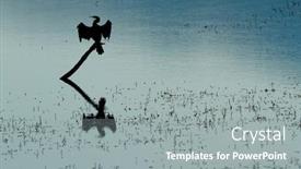  Presentation with south africa - PPT layouts featuring silhouette-of-an-african-darter background and a gray colored foreground