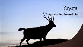  Presentation with deer - Beautiful slides featuring sambar - silhouette of deer backdrop and a light blue colored foreground
