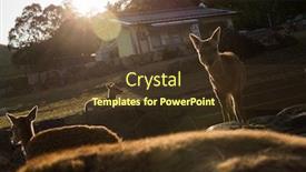  Presentation with japan - Presentation theme consisting of silhouette-of-deers-in-nara background and a tawny brown colored foreground