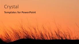  Presentation with footprints and sand sun - PPT theme featuring silhouette of grasses on a sand dune against a red sky at sunset background and a coral colored foreground