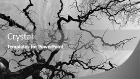  Presentation with tree silhouette - Slides having silhouette-of-old-bare-tree background and a gray colored foreground