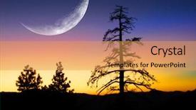  Presentation with pine trees - Slide deck featuring silhouette of pine trees background and a yellow colored foreground