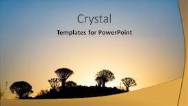  Presentation with tree silhouette - PPT theme featuring silhouette of quiver tree forest near keetmanshoop in namibia against sunset background and a light blue colored foreground