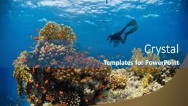  Presentation with coral reef - Presentation theme enhanced with silhouette-of-scuba-diver-exploring background and a  colored foreground