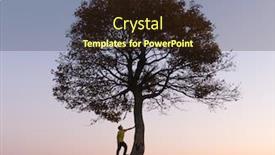  Presentation with tree silhouette - Cool new PPT theme with silhouette-of-tourist-under-majestic backdrop and a wine colored foreground