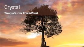  Presentation with tree silhouette - PPT theme enhanced with silhouette-of-tourist-under-majestic background and a tawny brown colored foreground