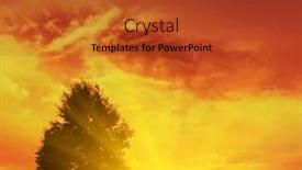  Presentation with tree silhouette - Presentation theme enhanced with money and books costs for education on white background background and a lemonade colored foreground