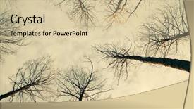  Presentation with tree silhouette - Beautiful PPT theme featuring silhouette of trees backdrop and a soft green colored foreground