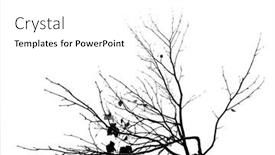  Presentation with black white tree - Slides with silhouette-of-winter-tree-branches background and a white colored foreground