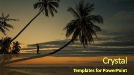  Presentation with tree silhouette - Slide deck having silhouette on palm tree vietnam background and a tawny brown colored foreground