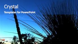  Presentation with australian bush - Amazing presentation theme having silhouetted australian bush backdrop and a ocean colored foreground