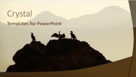  Presentation with rocks - Colorful presentation enhanced with silhouetted-seabirds-on-rocks-over backdrop and a cream colored foreground