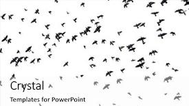  Presentation with fairy silhouettes - PPT theme enhanced with silhouettes of a flock background and a white colored foreground