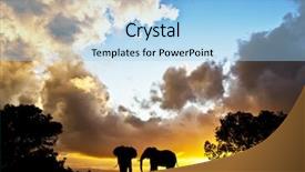  Presentation with elephant - Amazing PPT layouts having silhouettes of elephants backdrop and a light blue colored foreground