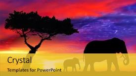  Presentation with mother baby - Amazing slide set having silhouettes of mother and baby backdrop and a yellow colored foreground