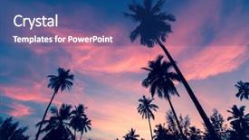  Presentation with fairy silhouettes - PPT layouts enhanced with silhouettes of palm trees background and a ocean colored foreground